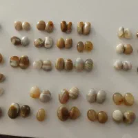 انواع مهره برد بدون سوراخ