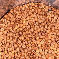 فروش قهوه مستقیم از کارخانه