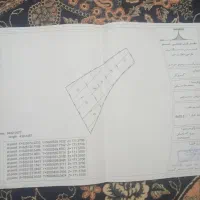 فروش ویژه زمین باغی در برنطین شهرستان رودان|فروش دفتر صنعتی، کشاورزی، تجاری|بیکاه, |دیوار
