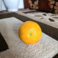 میوه نارنج آبدار|عمده‌فروشی|بندر انزلی, نوغان|دیوار