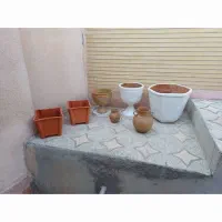 گلدان|گل و گیاه طبیعی|بندرعباس, |دیوار