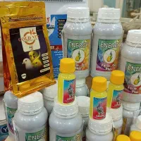 دان لوازم دارو پرنده کبوتر|لوازم جانبی حیوانات|مشهد, ابوذر|دیوار