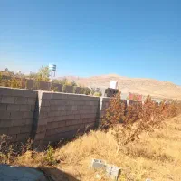 باغ ۱۱۰۰ متری با ۵۰ عدد درخت