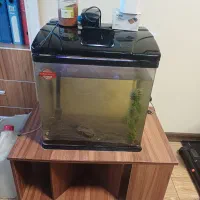 آکواریوم شیشه خم شرکتی با کلیه لوازم و میز