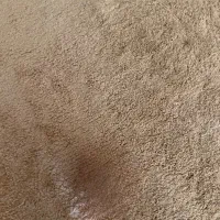 موکت پالاز اصلی زخیم و نرم