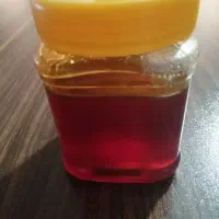 عسل زنبور وحشی کوهستان.عسل موشکورک|خوردنی و آشامیدنی|شیراز, شهرک گلستان شمالی|دیوار