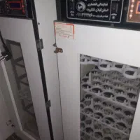 دوعدد دستگاه جوجه کشی برنده هدایت ۲۱۰تایی