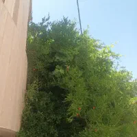 تجاری-و-مسکونی