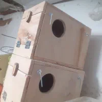 انواع لانه|پرنده|شیراز, شریفآباد|دیوار