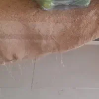 فروش لوازم میوه فروش|فروشگاه و مغازه|بندر انزلی, کارآموزی|دیوار