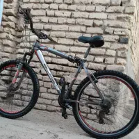 دوچرخه بلست|دوچرخه، اسکیت، اسکوتر|تربتحیدریه, قائم|دیوار