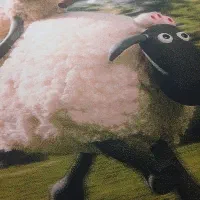 فرش چهار متری