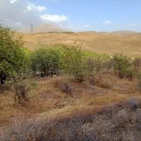 زمین-4-دیواری-جهت-ویلا-و-باشگاه-سوارکاری