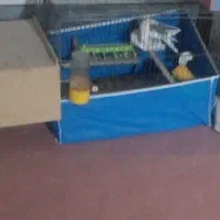 عروس هلندی|پرنده|ایذه, |دیوار