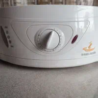 بخار پز