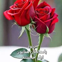 بازنشسته جهت نگهبانی