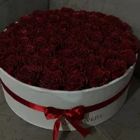 تعدادی دسته گل