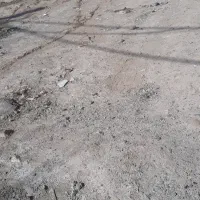 زمین-290متر-سند-6دانگ-از-پلاک-11-282