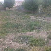 زمین فروشی|فروش زمین و ملک کلنگی|زنده رود, |دیوار