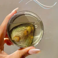 تخفیف ویژه پک مروارید عشق|بدلیجات|بروجرد, |دیوار