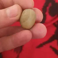 سنگ قیمتی|کلکسیون اشیاء عتیقه|مشگین شهر, |دیوار