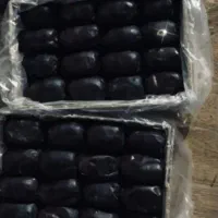 فروش خرما در انواع مختلف