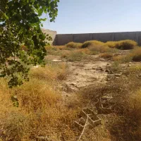 فروش750متر زمین آبادی داوود/ کد آگهی 11008 / nikan|فروش دفتر صنعتی، کشاورزی، تجاری|شوش, |دیوار