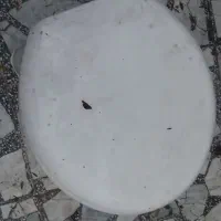 توآلت فرنگی|لوازم سرویس بهداشتی|گنبد کاووس, |دیوار