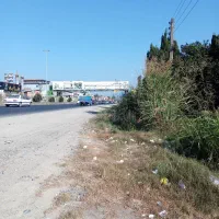 رهن زمین ۱۰۰۰ متری بر کمربندی مزگاه|اجارهٔ دفتر صنعتی، کشاورزی، تجاری|نوشهر, |دیوار