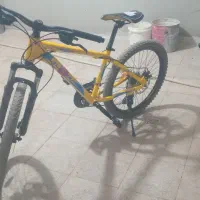 دوچرخه 24