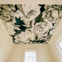 نصب کاغذ دیواری پوستر نصاب کاغذ|خدمات پیشه و مهارت|زنجان, |دیوار