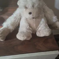 دوعدد عروسک باهم سیصدهزارتومان|اسباب‌بازی بچه|ساری, |دیوار