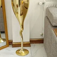 جام طلایی
