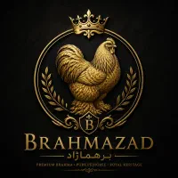 مزرعه برهما ایران برهماژاد غول های وارداتی