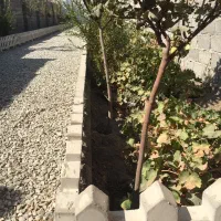 باغچه و باغ معاوضه و تهاتر  با ماشین و..