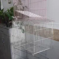 قفس پرنده|لوازم جانبی حیوانات|گراش, |دیوار