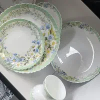 آرکوپال برند دینو