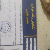 کویک مدل99|خودرو سواری و وانت|مشهد, محمدآباد|دیوار