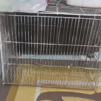 قفس