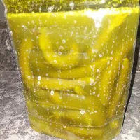 ی دبه۸ خیار شور ۰