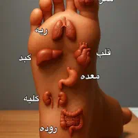 خدمات تخصصی ماساژ درمانی و حجامت