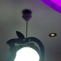 لوستر لتاق|لوستر و چراغ آویز|فردیس, طالقانی|دیوار