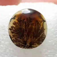 سنگ شجر قائن پرتغالی