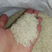 برنج هاشمی گیلان درجه یک