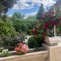 اجاره روزانه ویلای استخردار چهار فصل فردیس کرج|اجارهٔ کوتاهمدت ویلا و باغ|مشکیندشت, |دیوار