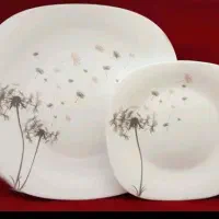 سرویس آرکوپال|ظروف سرو و پذیرایی|اردبیل, |دیوار