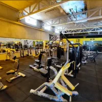 مربی بانوان در رشته بدنسازی