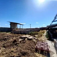 پرورش اسب و گوسفند و گاوداری|اجارهٔ دفتر صنعتی، کشاورزی، تجاری|مراغه, |دیوار