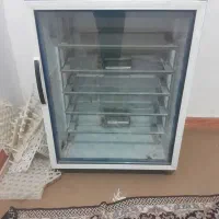 دستگا جوجه کشی بلدرچین دماوند ۴۲۰تای