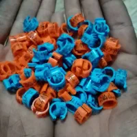 کبوتر پلاک آلمانی مصافتی رنگه پرشی بوم صید دم سفید